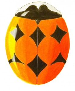 Orange-spotted Lady Beetle, Brachiacantha ursina Orange-spotted Lady Beetle, Brachiacantha ursina