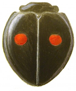 Twice-stabbed Lady Beetle, Chilocorus stigma Twice-stabbed Lady Beetle, Chilocorus stigma