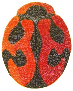Vedalia Lady Beetle, Rodolia cardinalis Vedalia Lady Beetle, Rodolia cardinalis