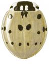 Fifteen-spotted Lady Beetle, Anatis labiculata