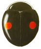 Binotate Lady Beetle, Hyperaspis binotata