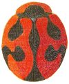 Vedalia Beetle, Rodolia cardinalis