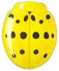 Mexican Bean Beetle, Epilachna varivestis
