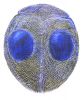 Globe-marked Lady Beetle, Azya orbigera
