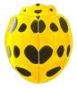 Squash Lady Beetle, Epilachna borealis