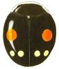 Esteemed Lady Beetle, Hyperaspis proba
