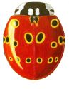 Eye-spotted Lady Beetle, Anatis mali
